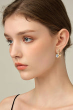 Cargar imagen en el visor de la galería, 4 Carat Moissanite 925 Sterling Silver Earrings